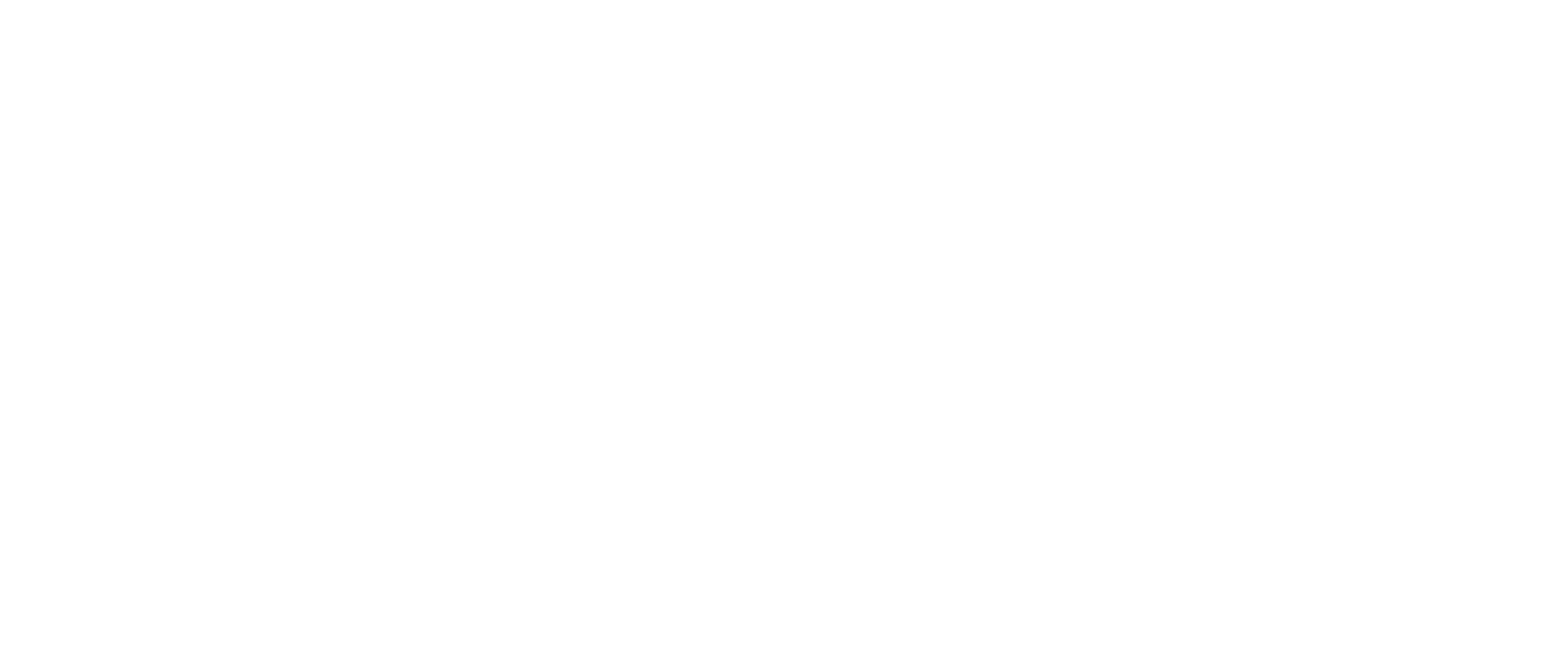 Allmi Logo