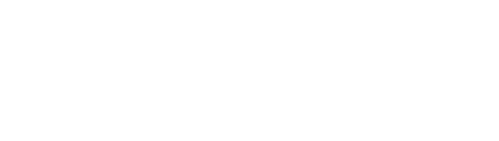 Fassi Logo